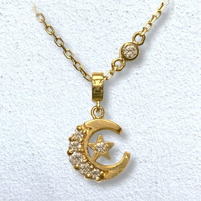 Petite Crescent Moon Necklace 